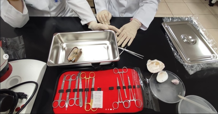 Laboratorio de Ciencias